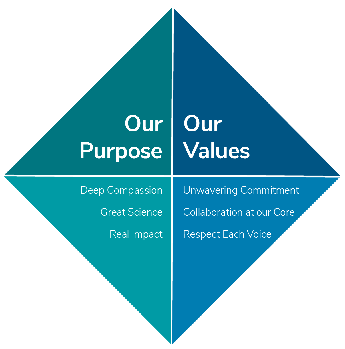 Our purpose and values graphic